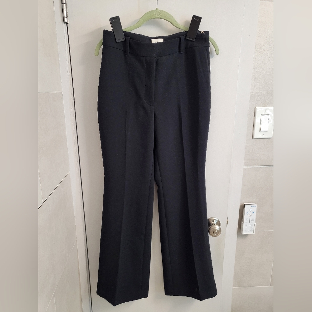 Aritzia Wilfred Cabaret Pants